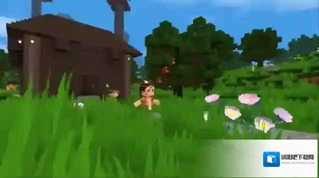 迷你世界收到了