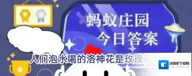 人们泡水喝的洛神花是玫瑰花吗