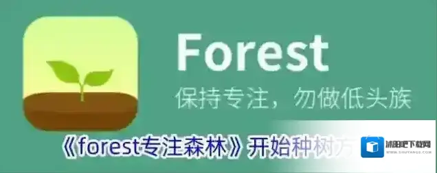 Forest种树