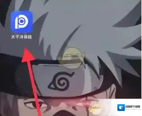 太平洋人寿保险界面