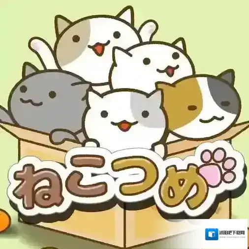 猫咪后院猫数
