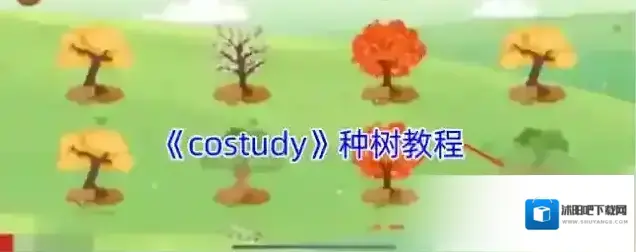 CoStudy种树