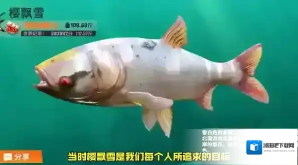 欢乐钓鱼大师钓鱼