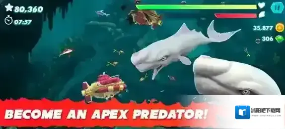 饥饿鲨进化国际服鲨鱼