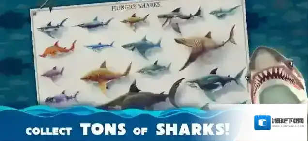 饥饿鲨世界国际服鲨鱼