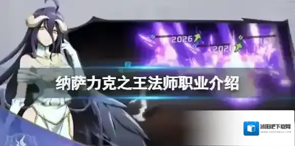 纳萨力克之王法师职业介绍