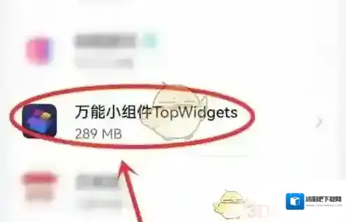 topwidgets应用管理