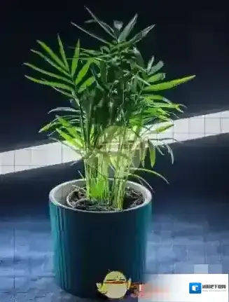 medibang paint颜色