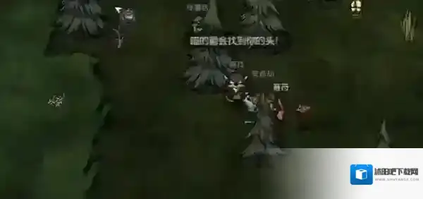 饥荒新家园桦树