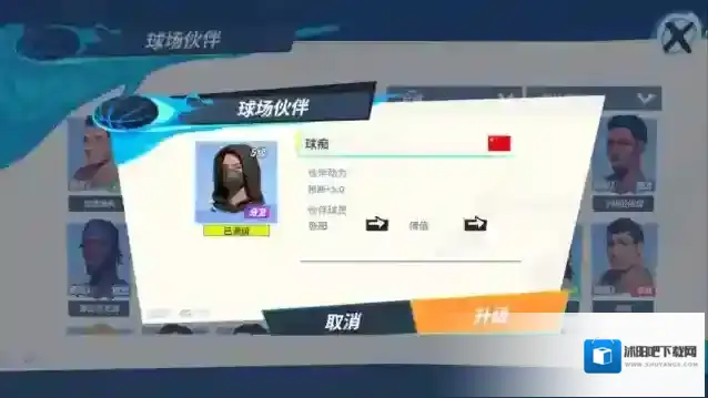 张阳队友搭配一览能力