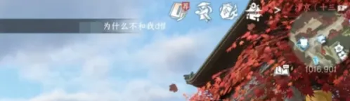 逆水寒手游圆萌乐向前冲入口在哪 圆萌乐向前冲入口位置详解