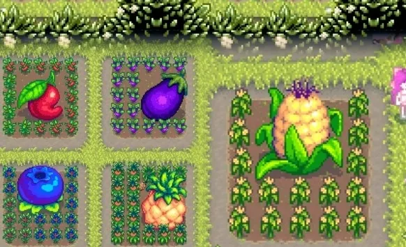 星露谷物语分别是