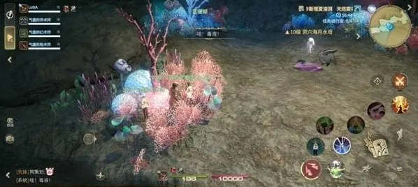 最终幻想14水晶世界正式服海月水母