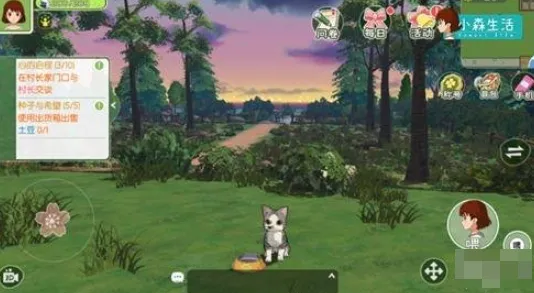 小森生活猫咪怎么领养 小森生活领养猫咪的方法
