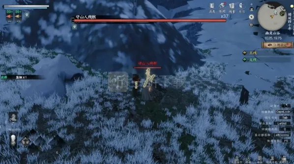 下一站江湖2获取