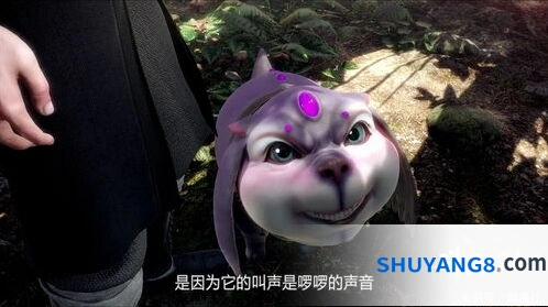 斗罗大陆诺丁城精致宝箱寻找技巧