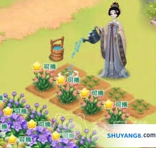《我的花园世界》如何送花技巧