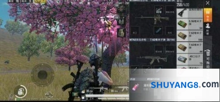 和平精英七夕许愿指南
