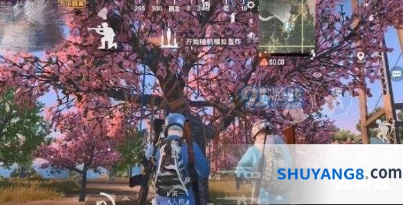 和平精英樱花树分布地点详解攻略
