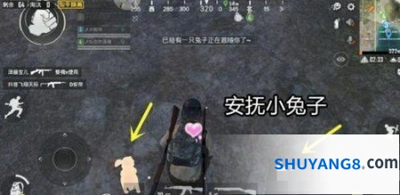 和平精英月兔宠物获得攻略