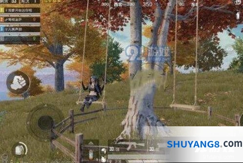 和平精英枫叶林详细位置指南