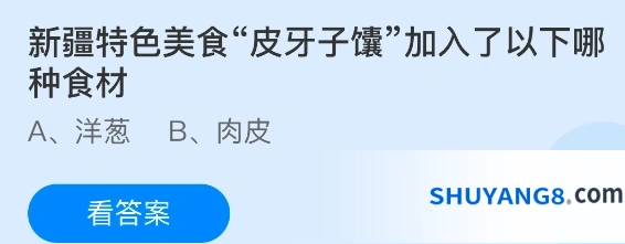 新疆特色美食皮牙子馕加入了以下哪种食材