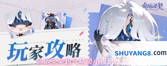 命运圣契超凡精灵小夜玩法攻略