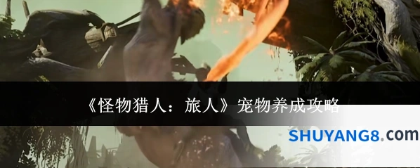 《怪物猎人：旅人》宠物养成攻略