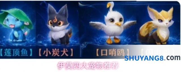伊莫四大宠物推荐