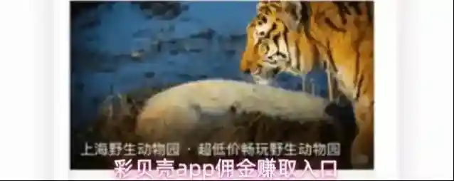 彩贝壳app佣金赚取入口