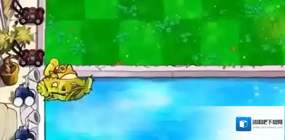 植物大战僵尸杂交版南瓜