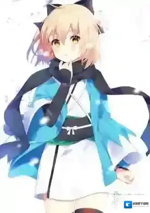 FGO冲田总司的阵容怎么搭配 冲田总司阵容搭配推荐