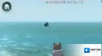 创造与魔法鲨鱼怎么打 创造与魔法鲨鱼打法介绍