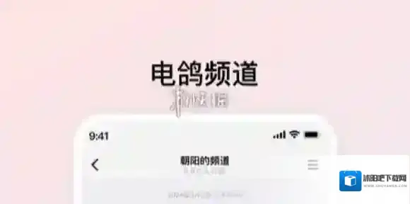 电鸽加好友方法