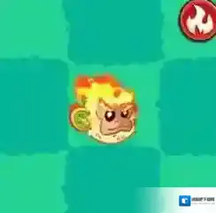 植物大战僵尸3玉露