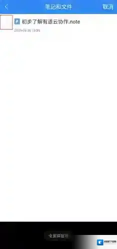 有道云协作格式