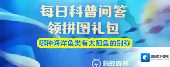 哪种海洋鱼类有太阳鱼的别称