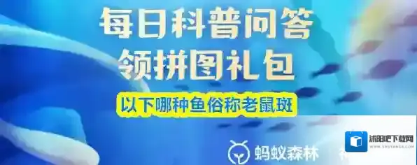 以下哪种鱼俗称老鼠斑