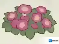 桃源深处有人家蓝白