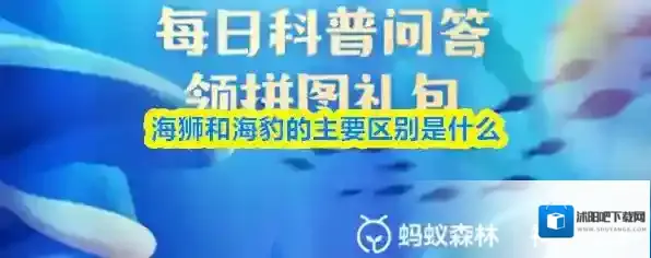海狮和海豹的主要区别是什么