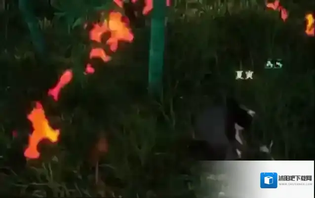 下一站江湖Ⅱ云鹤