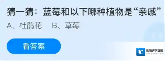 猜一猜：蓝莓和以下哪种植物是“亲戚”