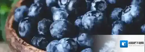 支付宝答案大全