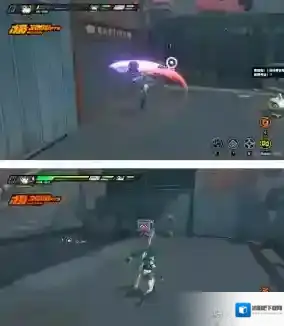 绝区零仙人掌花