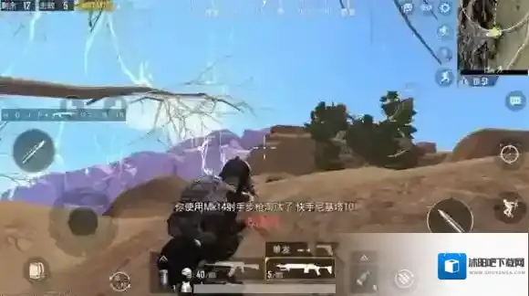 绝地求生:刺激战场玩家