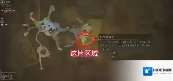 怪物猎人荒野任务攻略