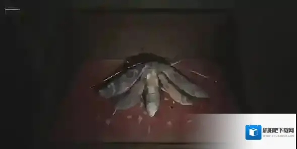 寂静岭2重制版飞蛾