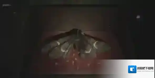 寂静岭2重制版密码是什么