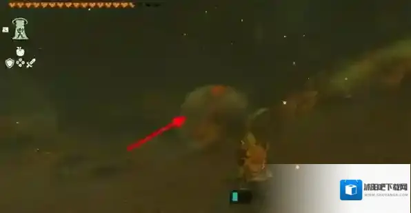 塞尔达传说王国之泪阿沅