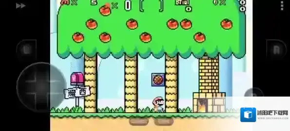 超级马里奥A2马里奥